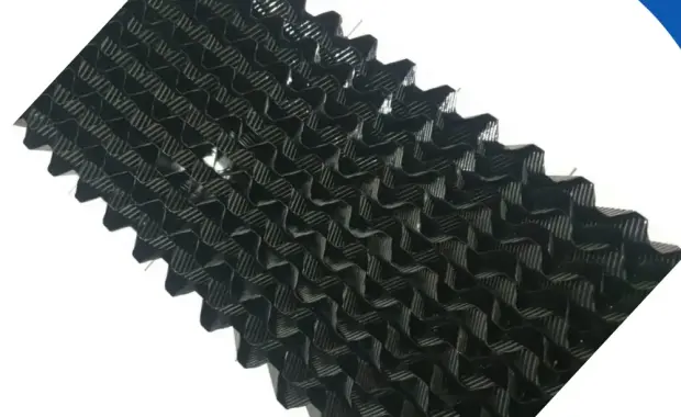 Media Sarang Tawon STP